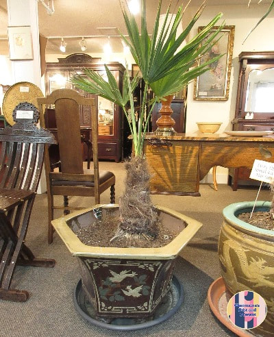 OUTSTANDING VINTAGE HEXAGON EGG POT WITH PALM TREE...$399.00.